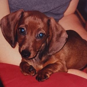 Meet your Posher, Beverly